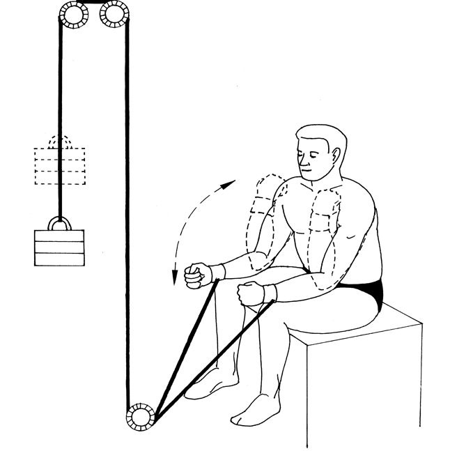 Иллюстрация к книге — Здоровье позвоночника. Системы Попова, Бубновского и другие методики излечения [i_218.jpg]