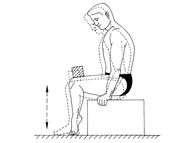Иллюстрация к книге — Здоровье позвоночника. Системы Попова, Бубновского и другие методики излечения [i_226.jpg]