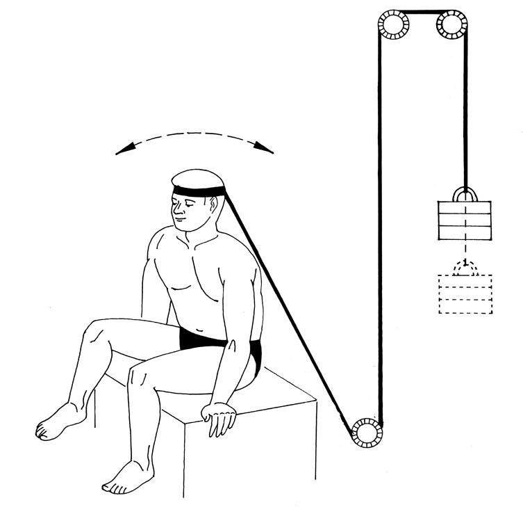 Иллюстрация к книге — Здоровье позвоночника. Системы Попова, Бубновского и другие методики излечения [i_229.jpg]