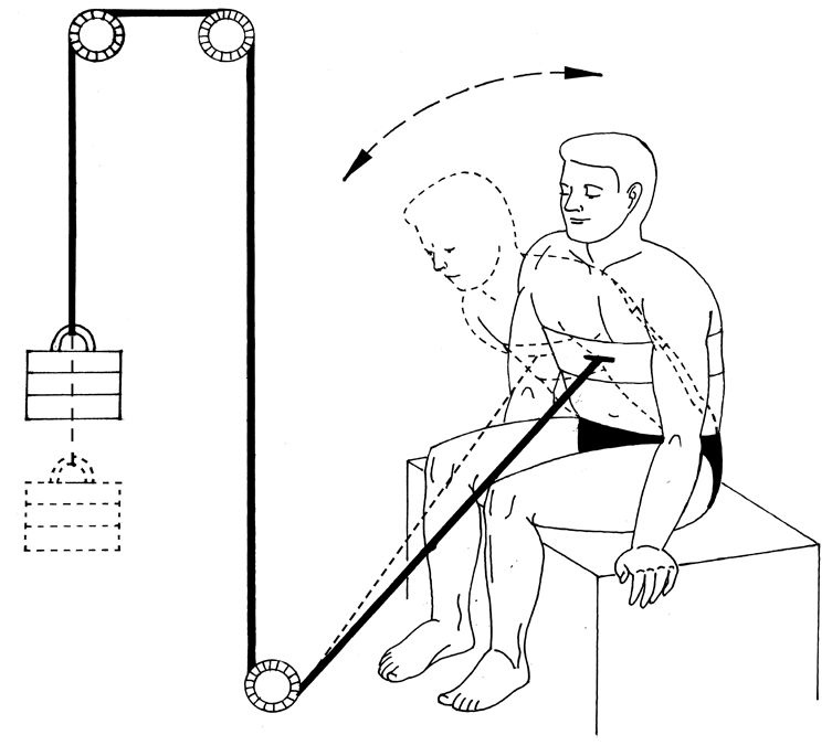 Иллюстрация к книге — Здоровье позвоночника. Системы Попова, Бубновского и другие методики излечения [i_230.jpg]