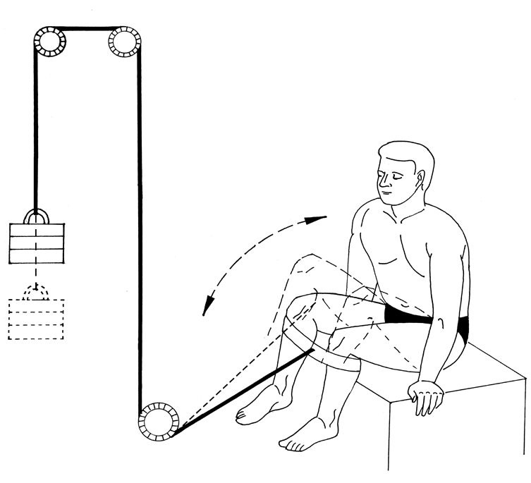 Иллюстрация к книге — Здоровье позвоночника. Системы Попова, Бубновского и другие методики излечения [i_231.jpg]
