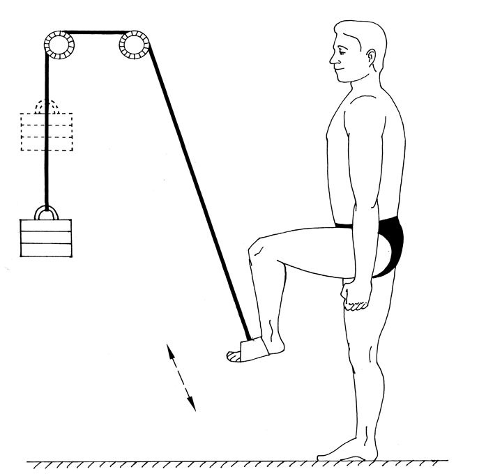 Иллюстрация к книге — Здоровье позвоночника. Системы Попова, Бубновского и другие методики излечения [i_237.jpg]