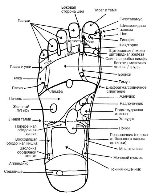 Иллюстрация к книге — Как заботиться о себе, если тебе за 40. Здоровье, красота, стройность, энергичность [i_029.jpg]