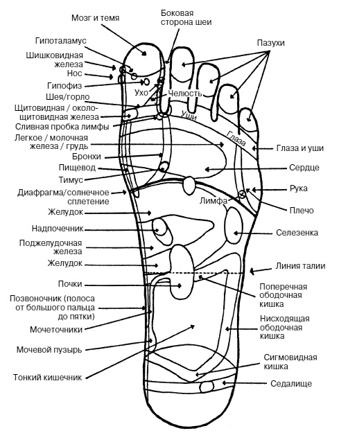 Иллюстрация к книге — Как заботиться о себе, если тебе за 40. Здоровье, красота, стройность, энергичность [i_030.jpg]