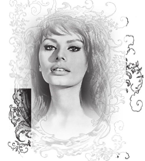 Иллюстрация к книге — Софи Лорен [i_013.jpg]