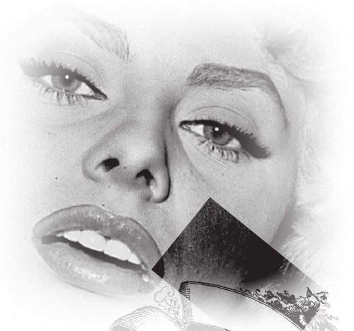 Иллюстрация к книге — Софи Лорен [i_031.jpg]