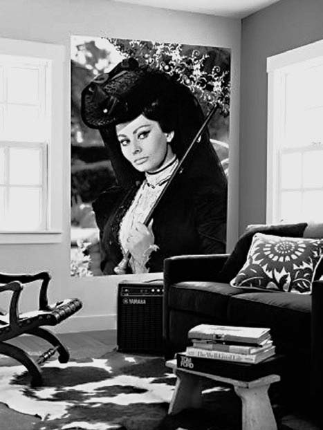 Иллюстрация к книге — Софи Лорен [i_087.jpg]