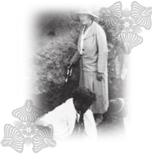 Иллюстрация к книге — Агата Кристи [Autogen_eBook_id78.jpg]