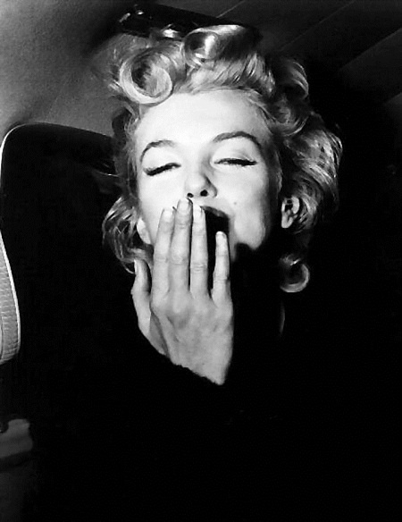 Иллюстрация к книге — Мэрилин Монро [Autogen_eBook_id90.jpg]