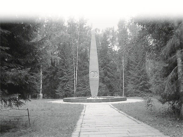 Иллюстрация к книге — Юрий Гагарин [Autogen_eBook_id87.jpg]