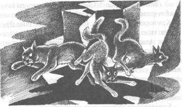 Иллюстрация к книге — Обещание Метеора. Книга 2. Прозрение [pic_14.jpg]