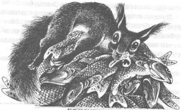 Иллюстрация к книге — Обещание Метеора. Книга 2. Прозрение [pic_28.jpg]