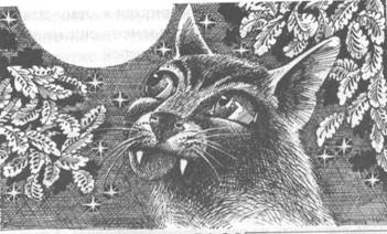 Иллюстрация к книге — Обещание Метеора. Книга 2. Прозрение [pic_32.jpg]