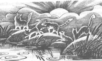 Иллюстрация к книге — Обещание Метеора. Книга 2. Прозрение [pic_34.jpg]