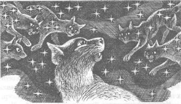 Иллюстрация к книге — Обещание Метеора. Книга 2. Прозрение [pic_38.jpg]