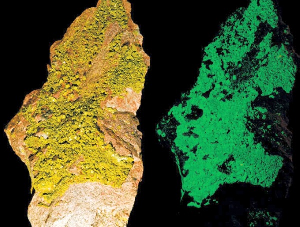 Иллюстрация к книге — Космические сыщики [i_043.jpg]