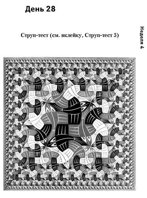 Иллюстрация к книге — Самая полная книга-тренажер для развития мозга! Новые тренинги для ума [i_041.jpg]