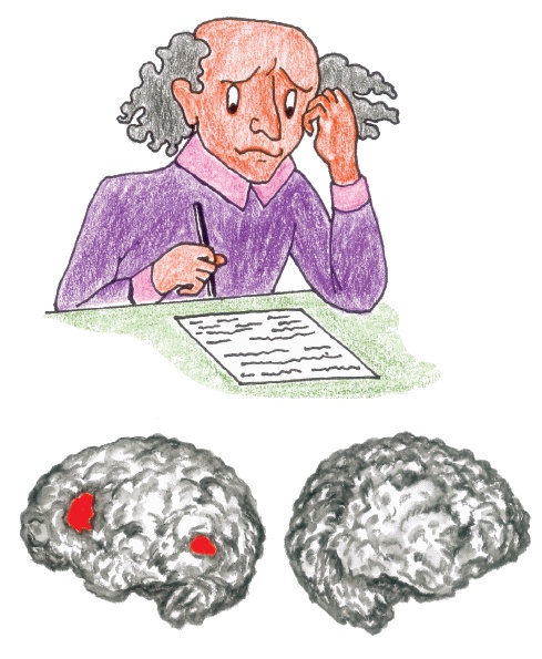 Иллюстрация к книге — Самая полная книга-тренажер для развития мозга! Новые тренинги для ума [i_201.jpg]