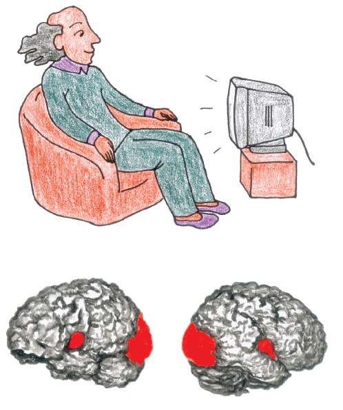 Иллюстрация к книге — Самая полная книга-тренажер для развития мозга! Новые тренинги для ума [i_202.jpg]