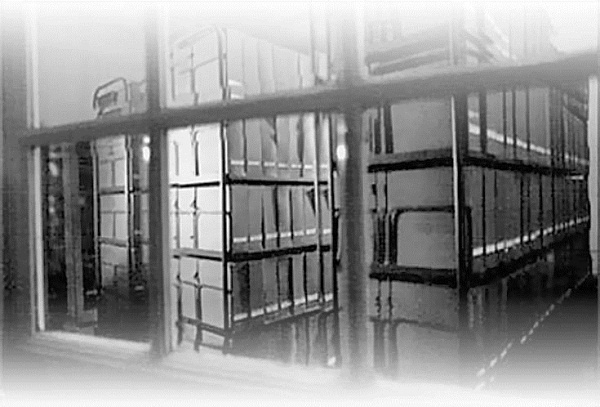 Иллюстрация к книге — Никола Тесла [i_011.jpg]