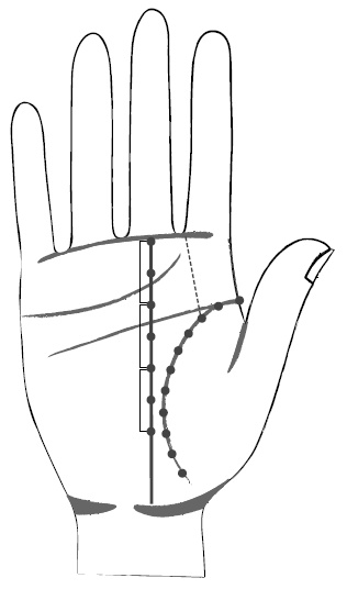 Иллюстрация к книге — Хиромантия и нумерология. Секретные знания. Практическое руководство [i_363.jpg]