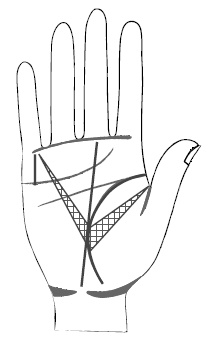 Иллюстрация к книге — Хиромантия и нумерология. Секретные знания. Практическое руководство [i_365.jpg]