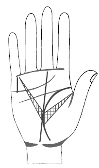 Иллюстрация к книге — Хиромантия и нумерология. Секретные знания. Практическое руководство [i_368.jpg]