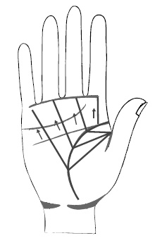 Иллюстрация к книге — Хиромантия и нумерология. Секретные знания. Практическое руководство [i_369.jpg]