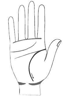 Иллюстрация к книге — Хиромантия и нумерология. Секретные знания. Практическое руководство [i_371.jpg]