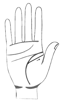 Иллюстрация к книге — Хиромантия и нумерология. Секретные знания. Практическое руководство [i_372.jpg]