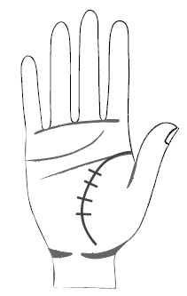 Иллюстрация к книге — Хиромантия и нумерология. Секретные знания. Практическое руководство [i_373.jpg]