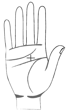 Иллюстрация к книге — Хиромантия и нумерология. Секретные знания. Практическое руководство [i_379.jpg]