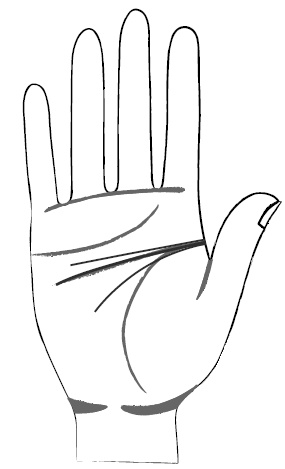 Иллюстрация к книге — Хиромантия и нумерология. Секретные знания. Практическое руководство [i_381.jpg]