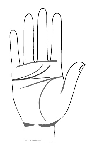 Иллюстрация к книге — Хиромантия и нумерология. Секретные знания. Практическое руководство [i_382.jpg]