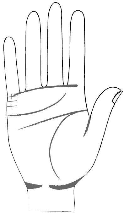 Иллюстрация к книге — Хиромантия и нумерология. Секретные знания. Практическое руководство [i_385.jpg]