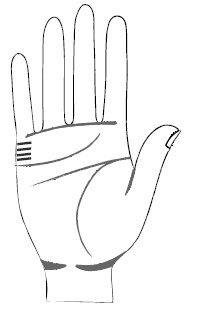 Иллюстрация к книге — Хиромантия и нумерология. Секретные знания. Практическое руководство [i_387.jpg]