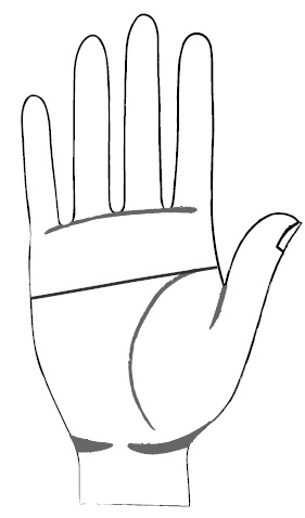 Иллюстрация к книге — Хиромантия и нумерология. Секретные знания. Практическое руководство [i_389.jpg]