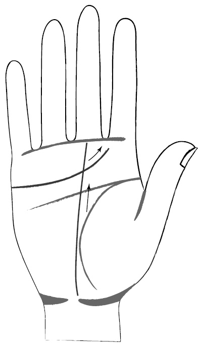 Иллюстрация к книге — Хиромантия и нумерология. Секретные знания. Практическое руководство [i_396.jpg]