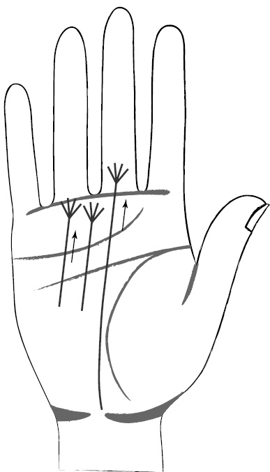 Иллюстрация к книге — Хиромантия и нумерология. Секретные знания. Практическое руководство [i_401.jpg]