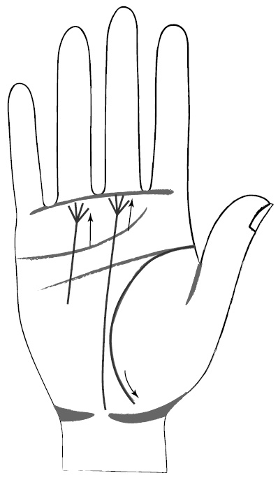 Иллюстрация к книге — Хиромантия и нумерология. Секретные знания. Практическое руководство [i_402.jpg]