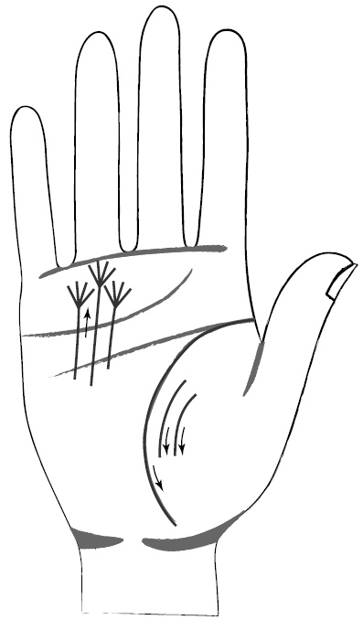 Иллюстрация к книге — Хиромантия и нумерология. Секретные знания. Практическое руководство [i_403.jpg]