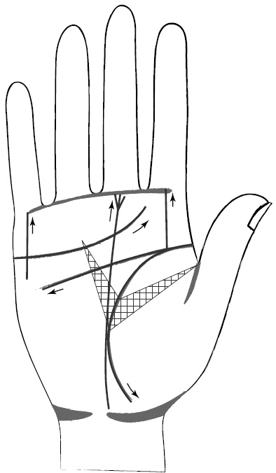 Иллюстрация к книге — Хиромантия и нумерология. Секретные знания. Практическое руководство [i_405.jpg]