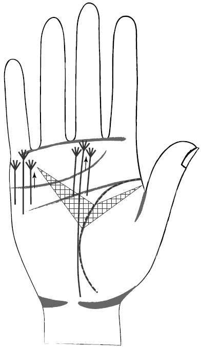 Иллюстрация к книге — Хиромантия и нумерология. Секретные знания. Практическое руководство [i_408.jpg]
