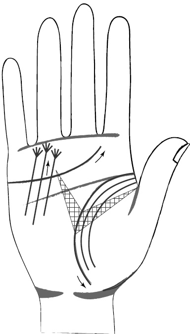 Иллюстрация к книге — Хиромантия и нумерология. Секретные знания. Практическое руководство [i_413.jpg]