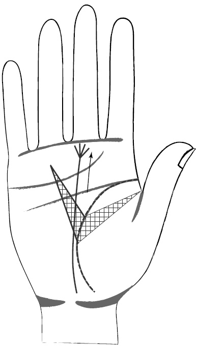 Иллюстрация к книге — Хиромантия и нумерология. Секретные знания. Практическое руководство [i_414.jpg]