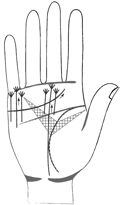 Иллюстрация к книге — Хиромантия и нумерология. Секретные знания. Практическое руководство [i_419.jpg]