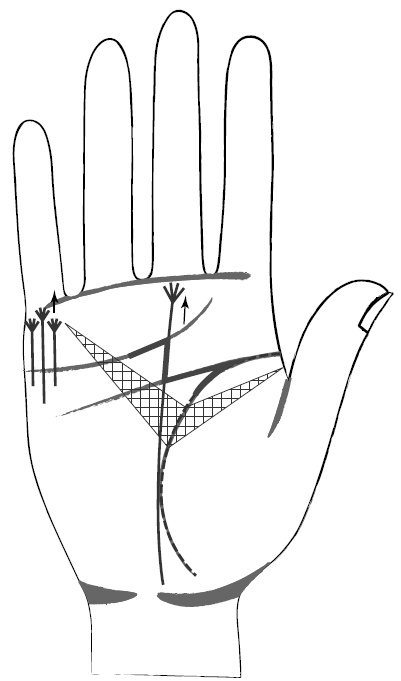 Иллюстрация к книге — Хиромантия и нумерология. Секретные знания. Практическое руководство [i_420.jpg]