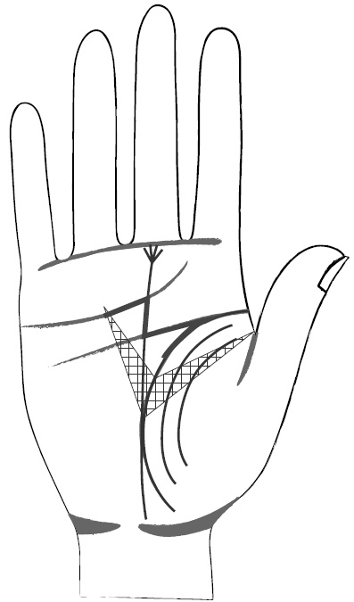 Иллюстрация к книге — Хиромантия и нумерология. Секретные знания. Практическое руководство [i_422.jpg]