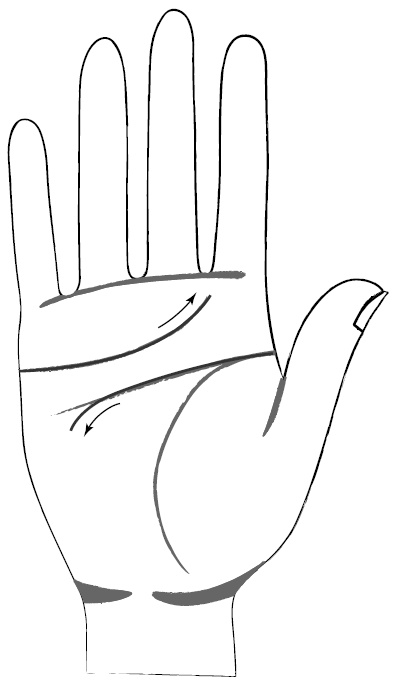 Иллюстрация к книге — Хиромантия и нумерология. Секретные знания. Практическое руководство [i_423.jpg]