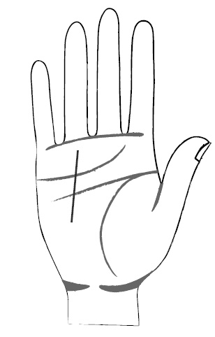 Иллюстрация к книге — Хиромантия и нумерология. Секретные знания. Практическое руководство [i_427.jpg]